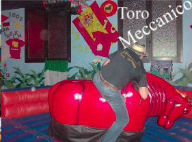 toro meccanico